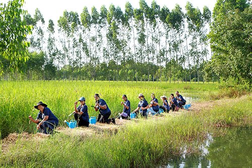 The guests planting their own Double A Paper-Tree.